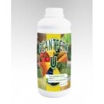 Ingrasamant Plantfert