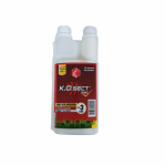 K.O. SECT