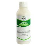LUNA EXPERIENCE