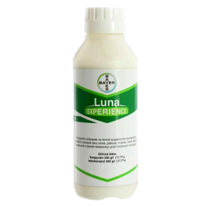 LUNA EXPERIENCE