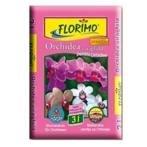 PAMANT ORHIDEE FLORIMO