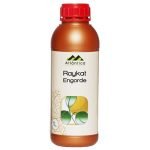 RAYKAT ENGORDE 1L