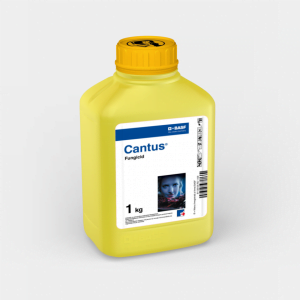 CANTUS