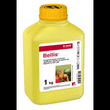 Fungicid sistemic BELLIS