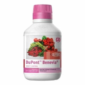 Insecticid Benevia Cyantranilyprol 100 g/l