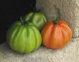 Tomate Deko F1 100 sem
