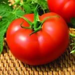 Tomate Kiveli F1