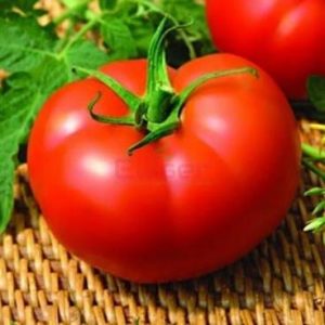 Tomate Kiveli F1