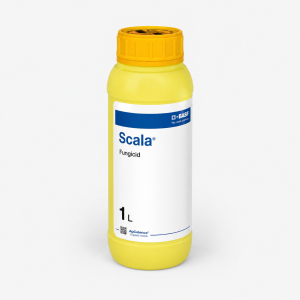 Scala® BASF, fungicid de ultimă generație, pe bază de 400 g/l pirimetanil Scala® BASF, fungicid de ultimă generație, pe bază de 400 g/l pirimetanil