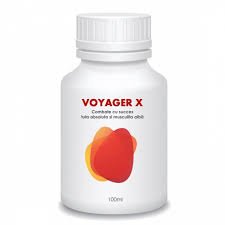 Insecticid Voyager X