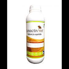 Kinactiv Root Kinactiv Root