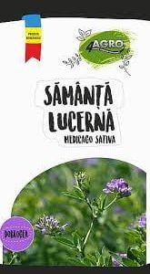 Samanta Lucerna Dobrogea