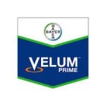 Nematocid şi fungicid cu aplicare la sol Velum® Prime 400 SC