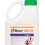 Erbicid Boxer 800 EC 5 L