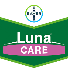 Fungicid Luna Care 71,6 WG