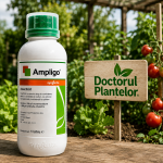 Ampligo – Insecticid pentru Porumb, Varză, Conopidă și Broccoli